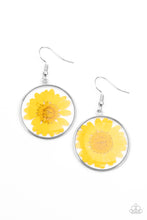 Load image into Gallery viewer, Bordered in a silver fitting, a pressed yellow daisy is encased inside a glassy frame for an enchanted floral look. Earring attaches to a standard fishhook fitting.

