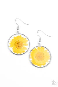 Bordered in a silver fitting, a pressed yellow daisy is encased inside a glassy frame for an enchanted floral look. Earring attaches to a standard fishhook fitting.